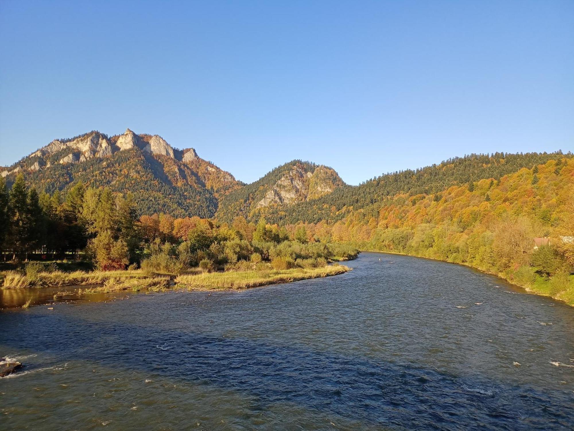 Hortensjowy Zakatek W Pieninach Sromowce Wyzne Exterior foto